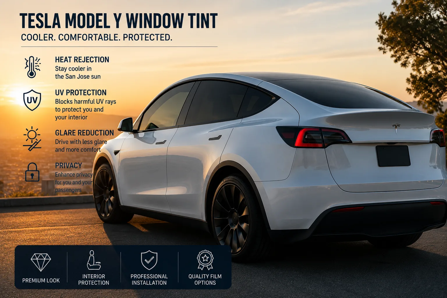 Tesla Model Y Window Tint
